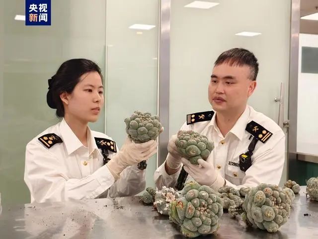 DƬ